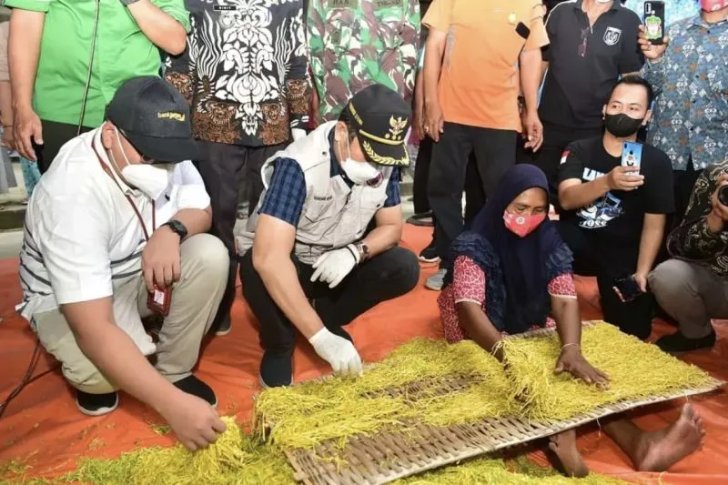 Harga Tembakau Naik, Petani Lamongan Sambut Gembira