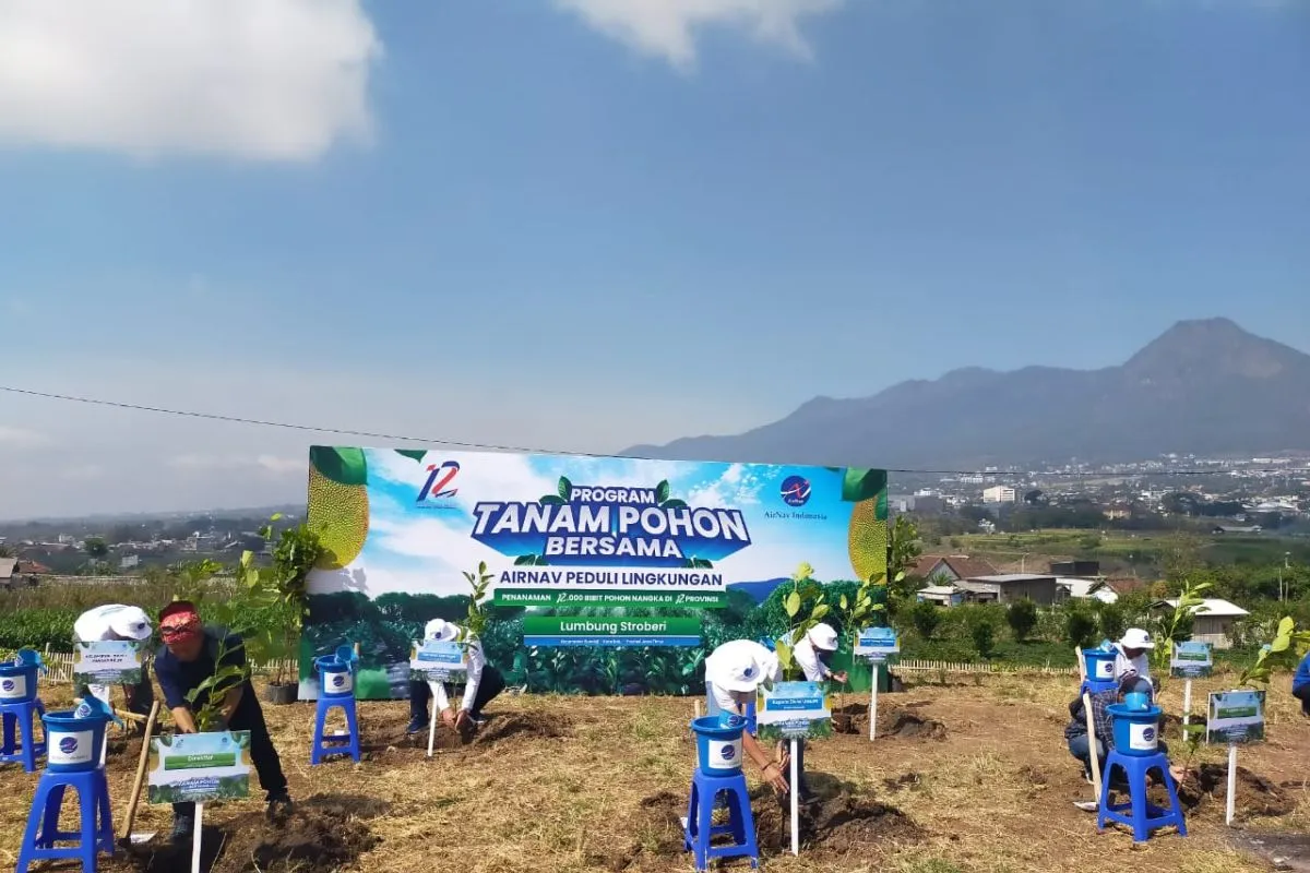 AirNav Tanam 12 Ribu Pohon di 12 Provinsi