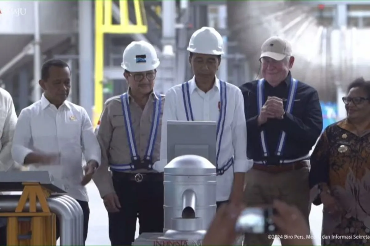 Presiden Joko Widodo Resmikan Pabrik Smelter PT Freeport di Kawasan JIIPE