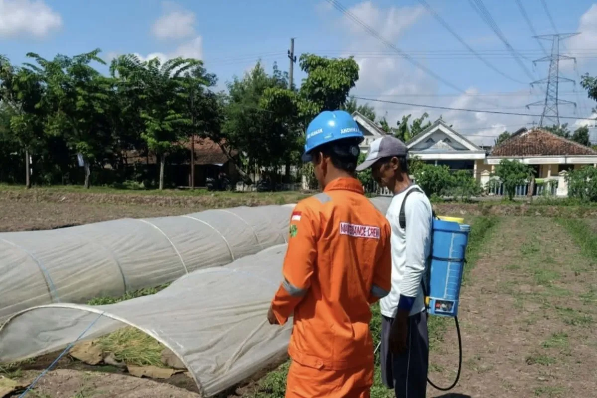 PLN Edukasi Petani Tentang Keselamatan Kelistrikan