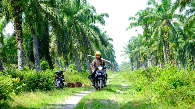 Wilmar Luncurkan Program Prospek, Rangkul 26 Ribu Petani jadi Mitra