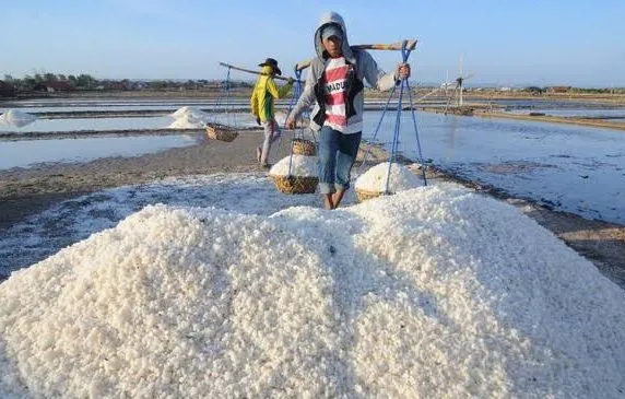 Tahun Ini Pemkab Sampang Targetkan Produksi Garam 307 Ribu Ton