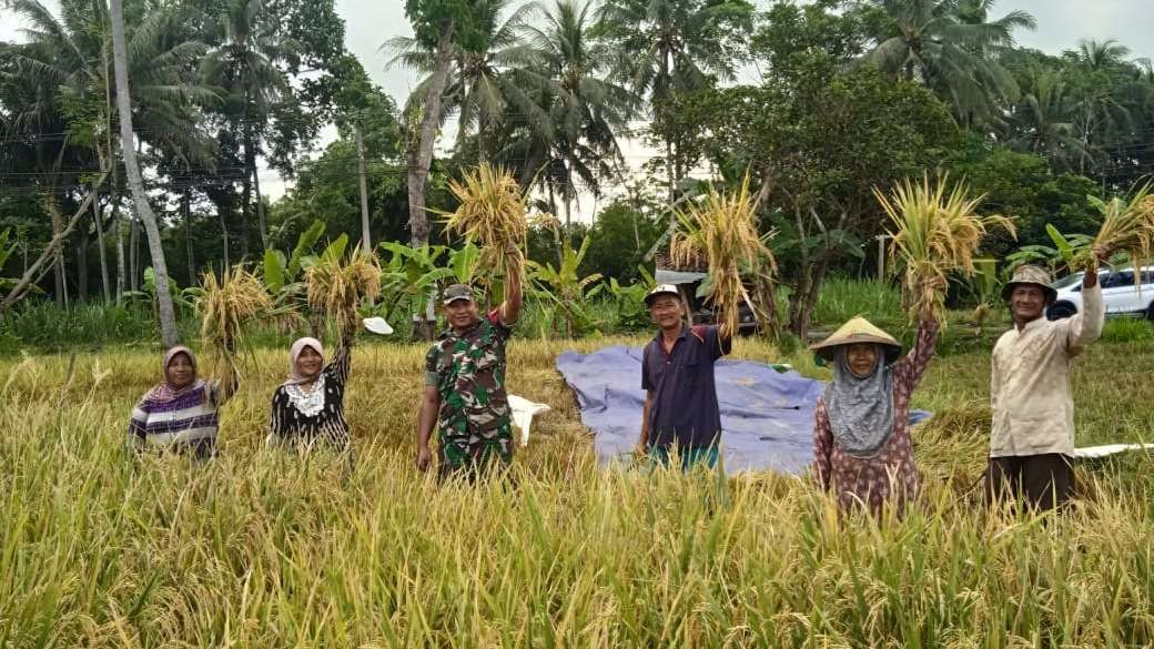 Nilai Tukar Petani (NTP) Jawa Timur pada Mei 2026 naik 3,32 persen