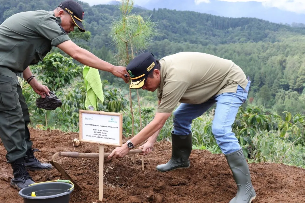 Perluas Lahan Hijau, Perhutani Tanam 24 Juta Pohon