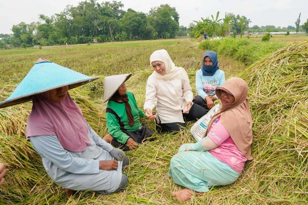 Selama 2024, Produksi Beras Kota Pasuruan Naik 10,51 Persen