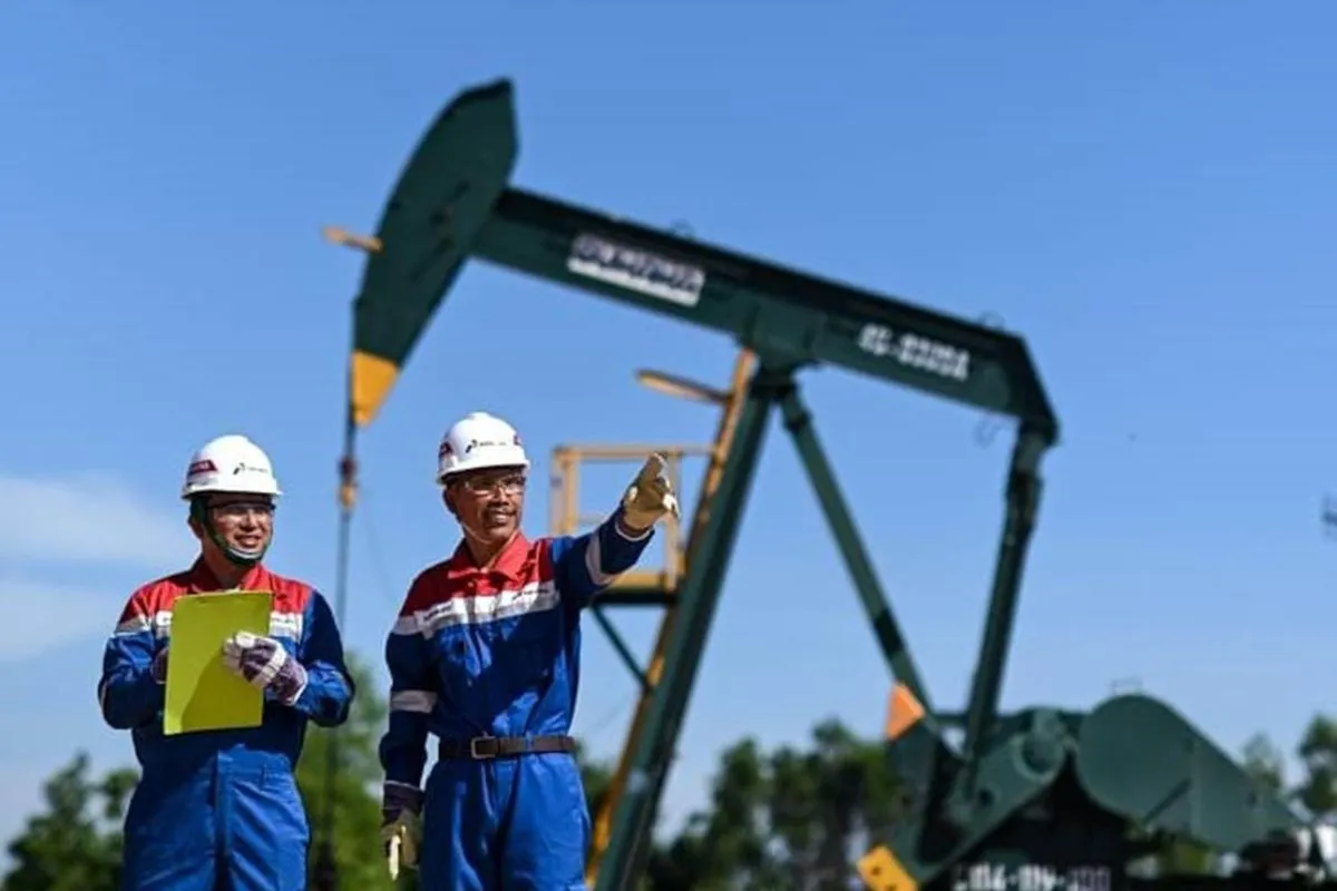 PHR Di-Restrukturisasi Untuk Jaga Performa Terbaik