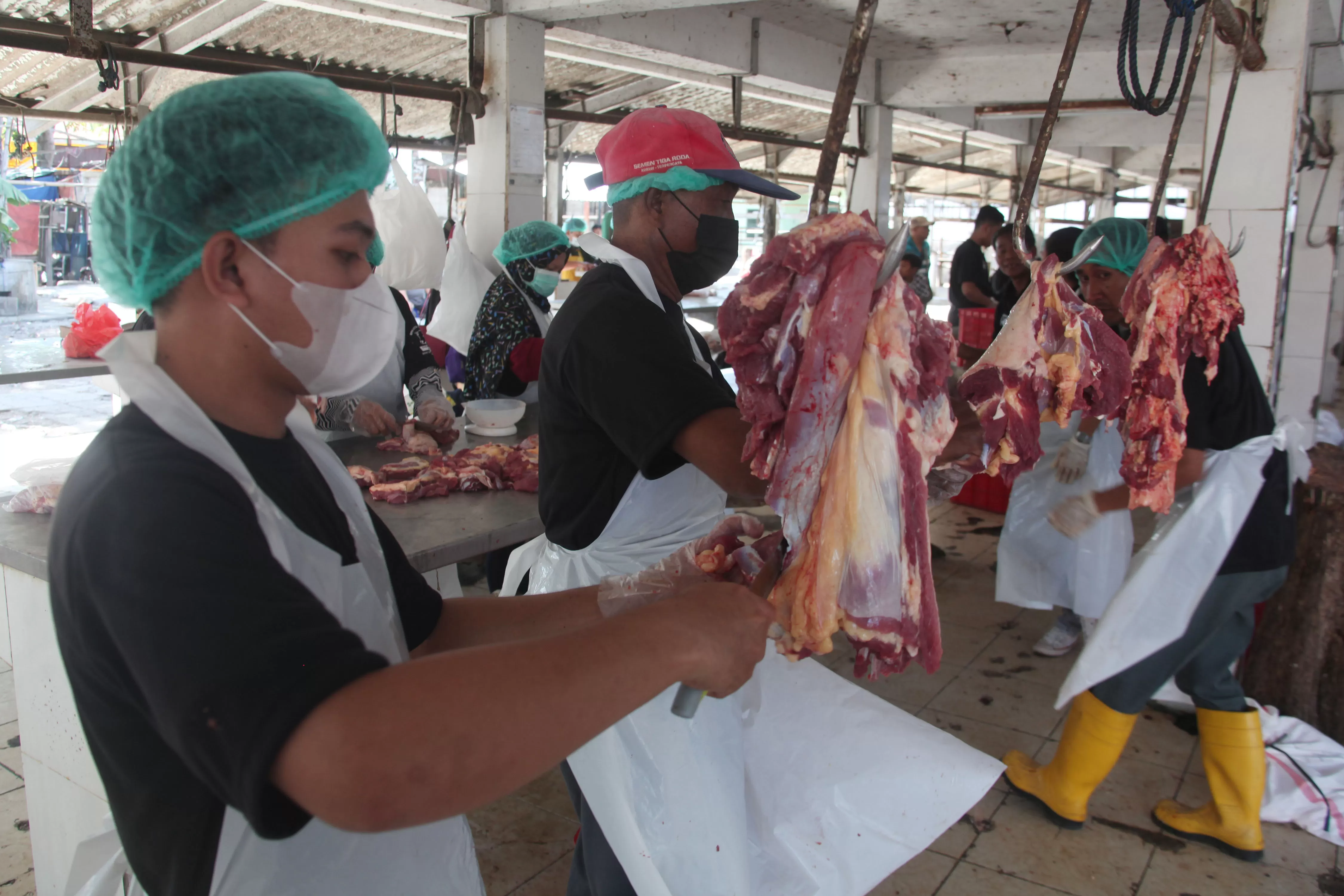 RPH Surya Jamin Daging Sapi Bebas Penyakit Kuku Mulut