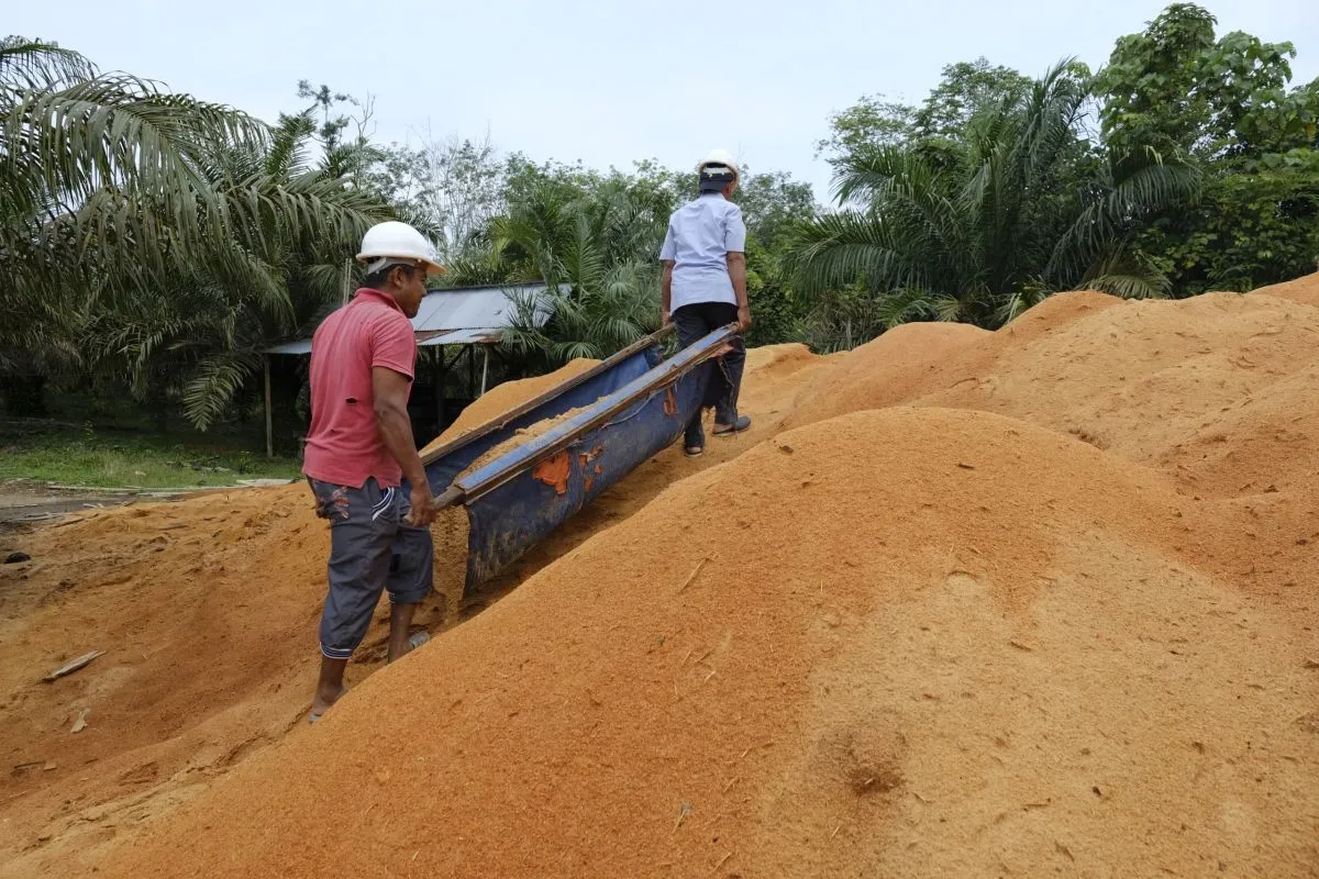 Sepanjang 2024, PLN IP Tekan 921 Ribu Ton CO2 Lewat Program Cofiring