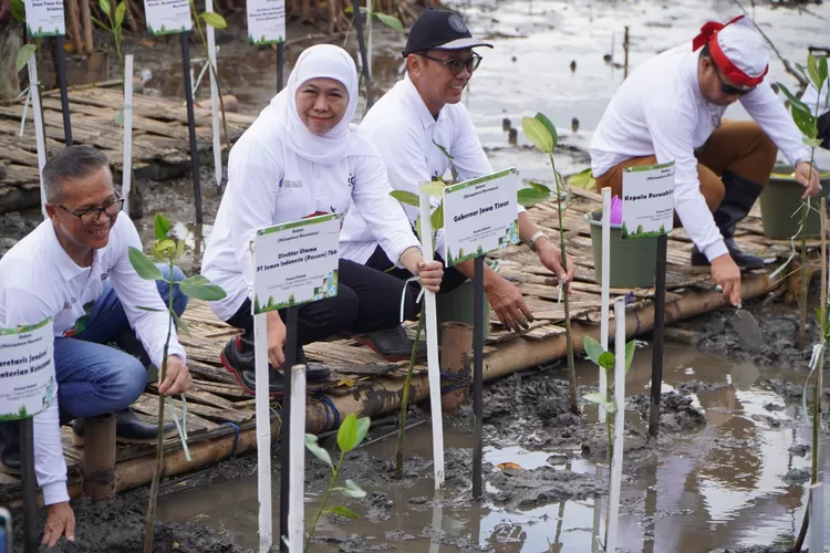 Gubernur Jawa Timur Ajak Jaga Ekosistem Pesisir dan Lestarikan Lingkungan