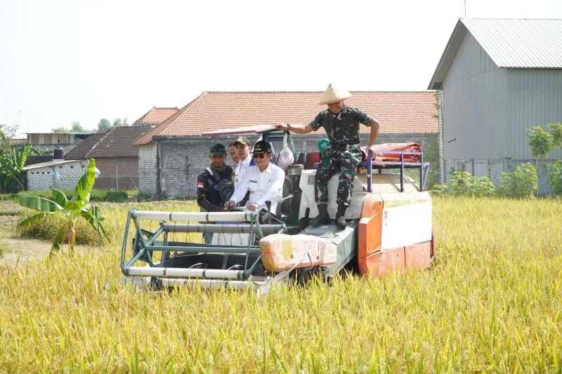 Bupati Yes Bareng Forkopimda Panen Raya di Kampung Terpadu Lamongan
