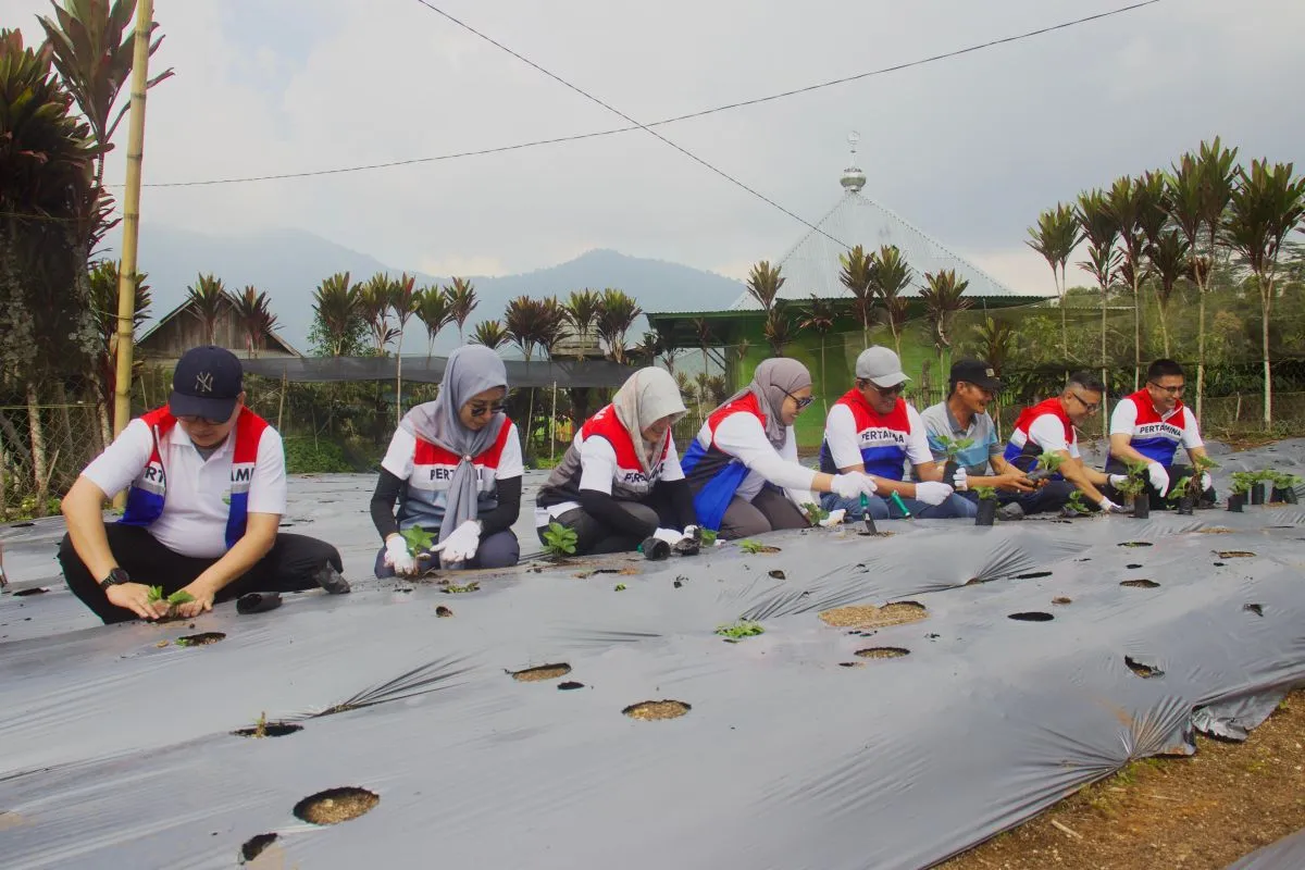 Pertamina NRE Optimalkan Potensi Desa melalui Desa Energi Berdikari