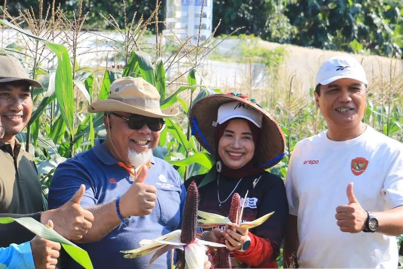 Pemkot Madiun Kembangkan Budidaya Jagung Ungu