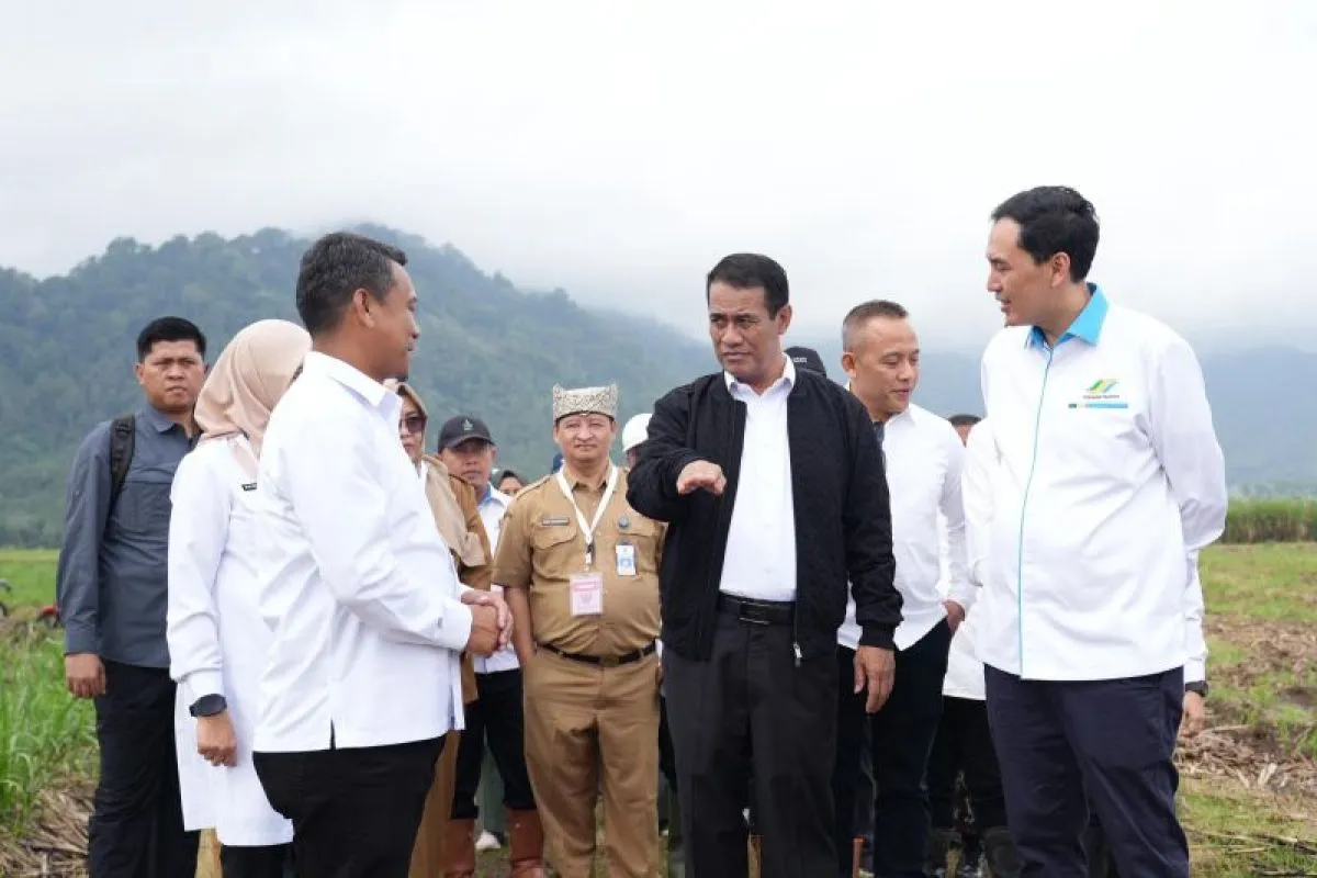 Mentan Targetkan Bongkar Ratoon 80.053 Hektare di Jawa