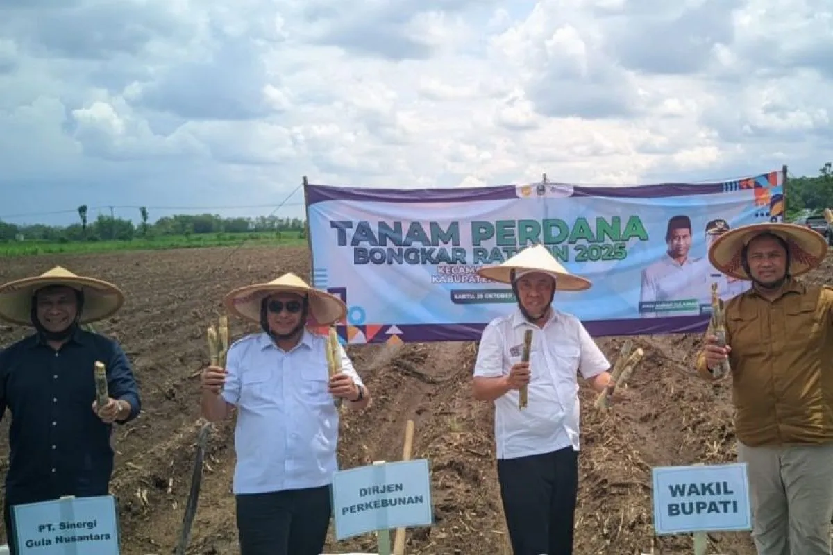 Pemkab Magetan Bersama SGN Gelar Bongkar Ratoon dan Tanam Perdana Tebu