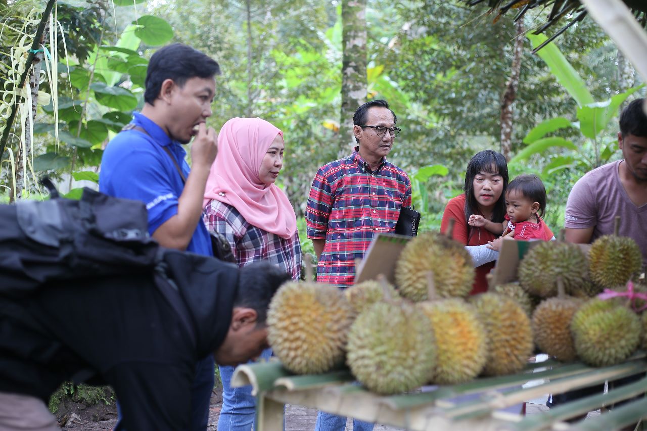 PLN Peduli memberikan bantuan pembibitan diberikan di Desa Songgon, Kabupaten Banyuwangi