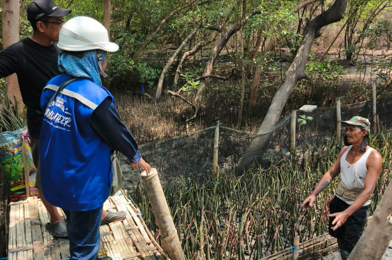 Tim dari PT Terminal Petikemas Surabaya (TPS) saat memantau kawasan hutan mangrove di sekitar wilayah operasional