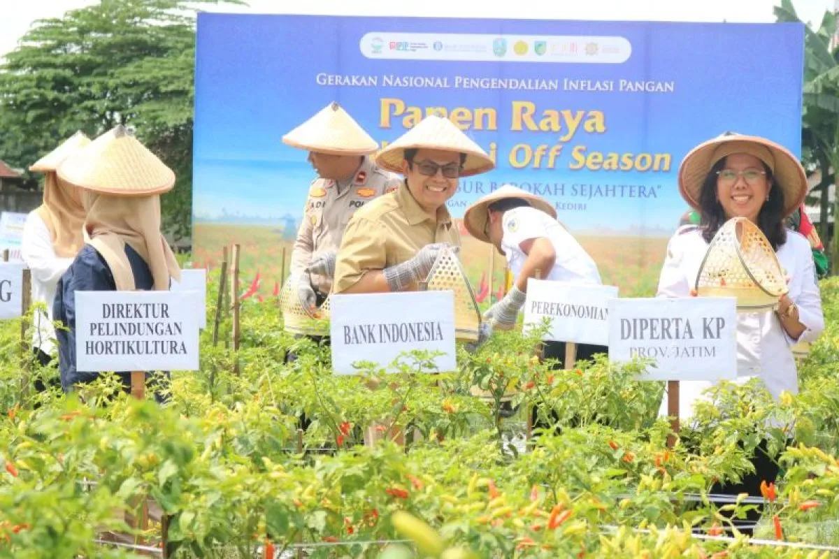 Kendalikan Inflasi Pangan, BI Kediri Edukasi Petani Cabai