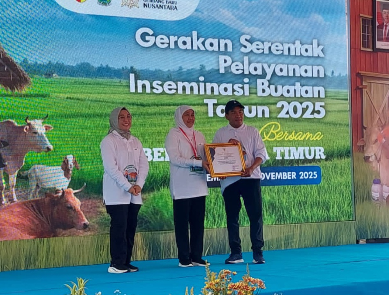 Kepala Desa Sidowungu, Kecamatan Menganti, Gresik, Suedi menerima penghargaan bergengsi sebagai Kades Perintis Penerapan Higienitas untuk Pemotongan Unggas dari Gubernur Jawa Timur, Khofifah Indar Parawansa.