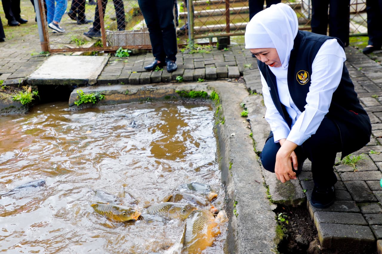 Gubernur Jawa Timur Khofifah Indar Parawansa meninjau Instalasi Perikanan Budidaya (IPB) Punten