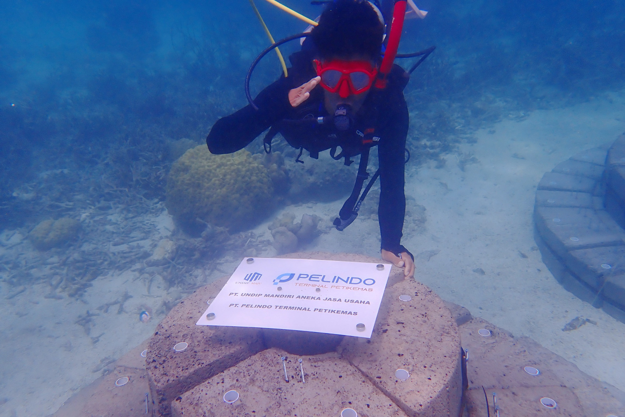 Pemasangan Terumbu Buatan Artificial Patch Reef