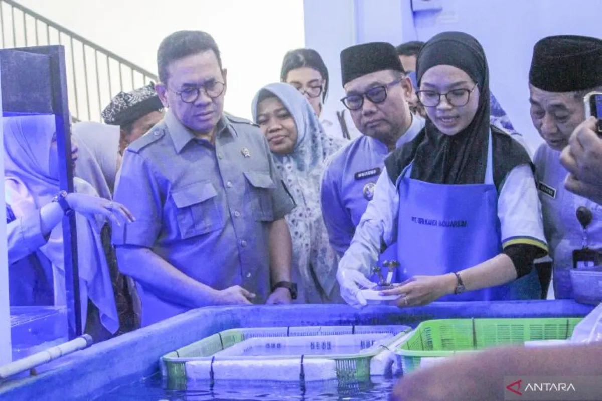 Koral Hias Banyuwangi Tembus Pasar AS, Sekali Kirim Raup Rp40 Juta