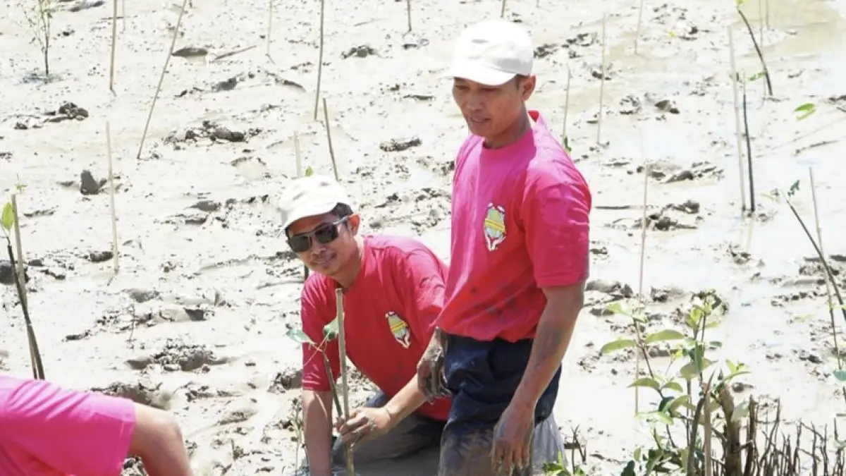 Pertamina Perkuat Konservasi Pesisir Gresik, 1.000 Mangrove Ditanam di Pangkah Wetan
