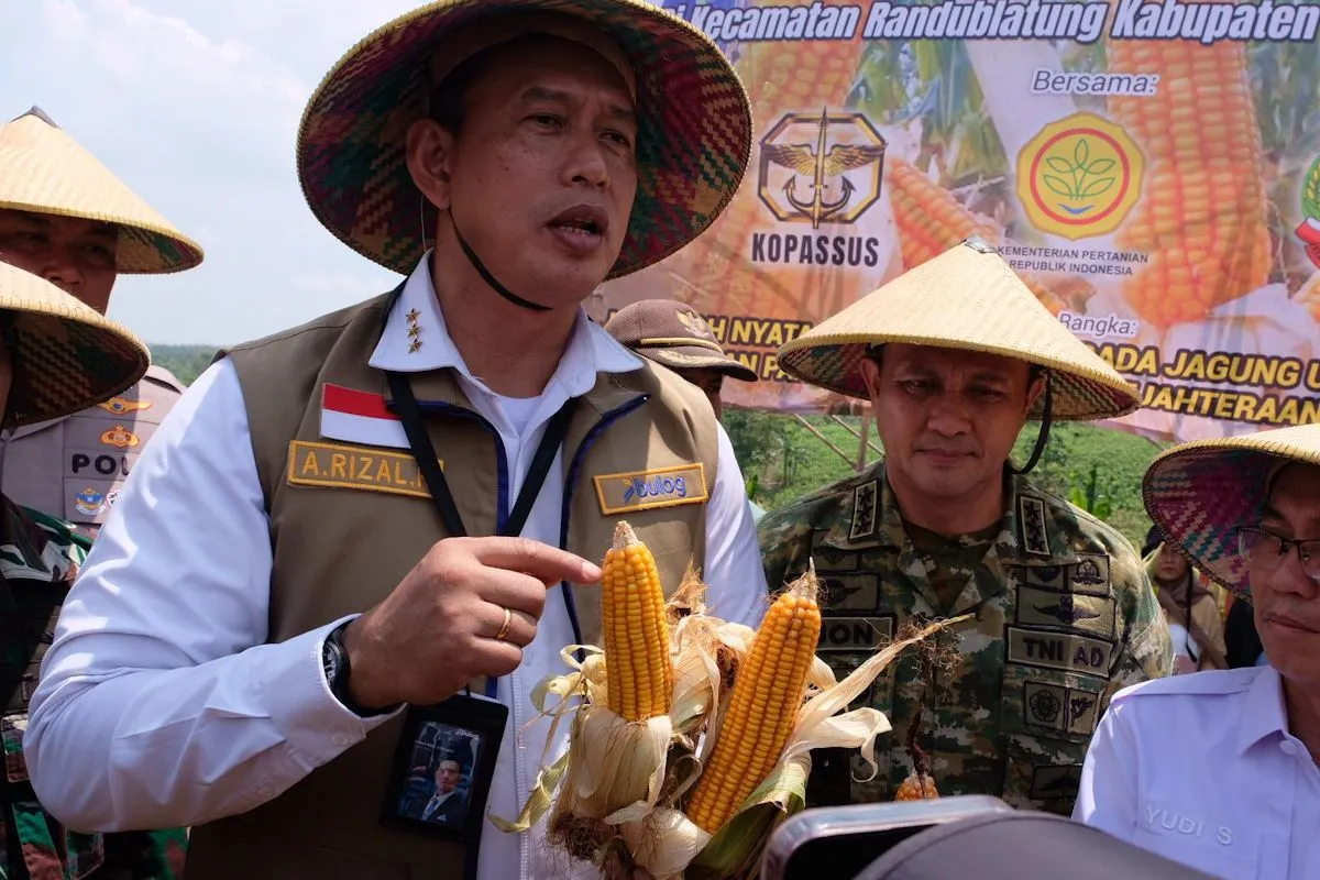 Bulog :Realisasi Produksi Jagung SPHP Capai 159,3 Ribu Ton