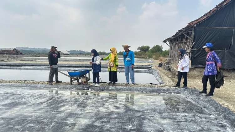 Hingga Agustus Produksi Garam Kabupaten Lamongan Capai 1.317 Ton