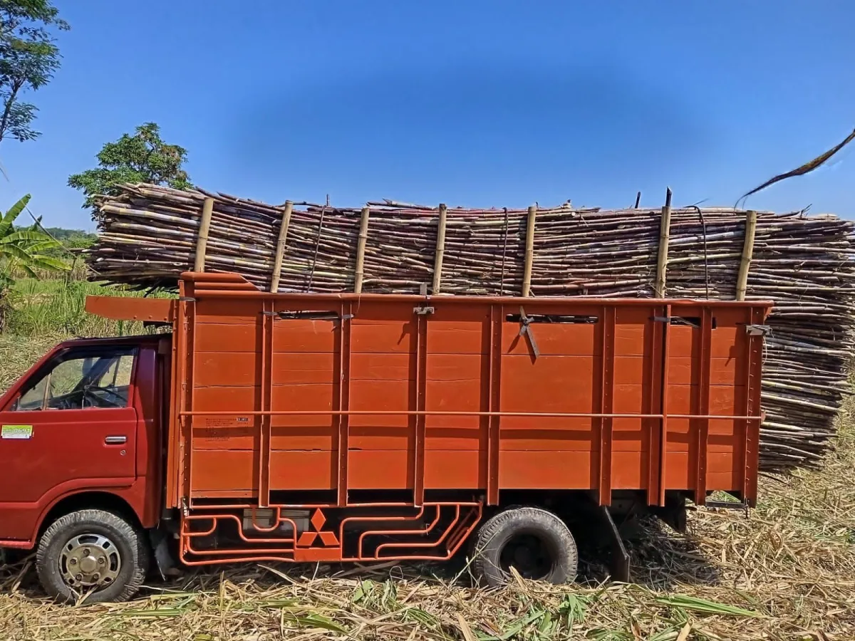 Tebu Makin Berkualitas, Peluang Hasil Petani di PG Pradjekan Makin Optimal