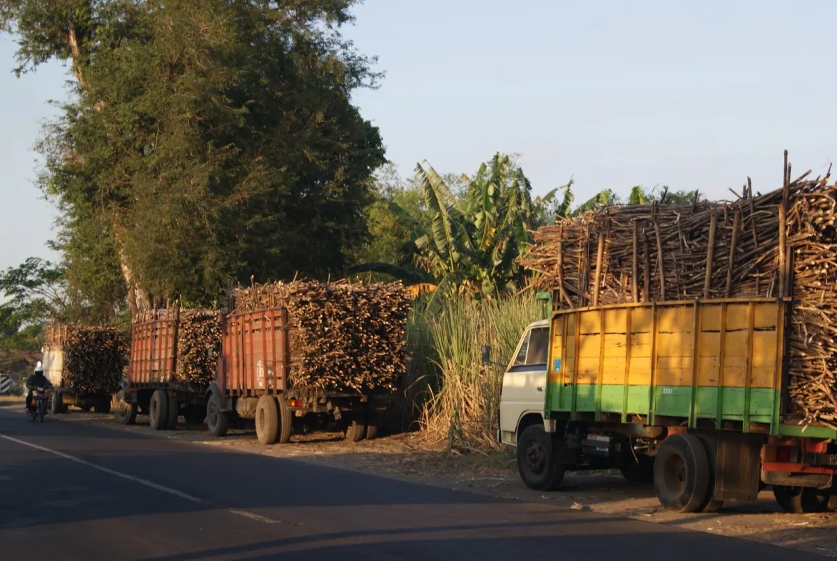 lancaran Giling PG Ngadiredjo Beri Kepastian Penyerapan Tebu Petani Kinerja giling tebu di Pabrik Gula (PG) Ngadiredjo,