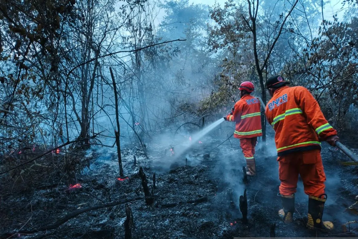 157 Karhutla Terjadi di Jombang Sepanjang 2026, Luas Lahan Terbakar 148,6 Hektare