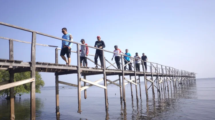 Pemkot Probolinggo Kembangkan Jalur Mangrove Bakau to Bakau