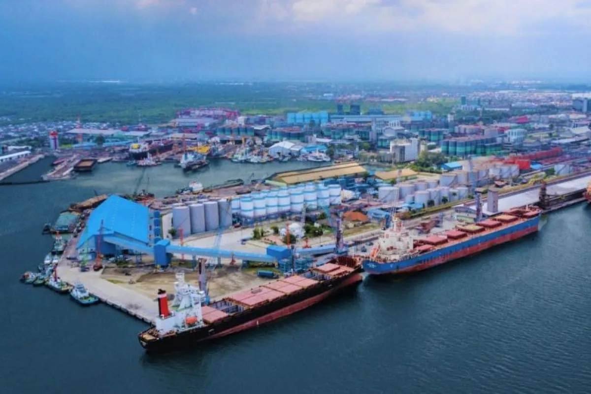 Arus Barang Pelindo Multi Terminal Belawan Tumbuh hingga Agustus 2026