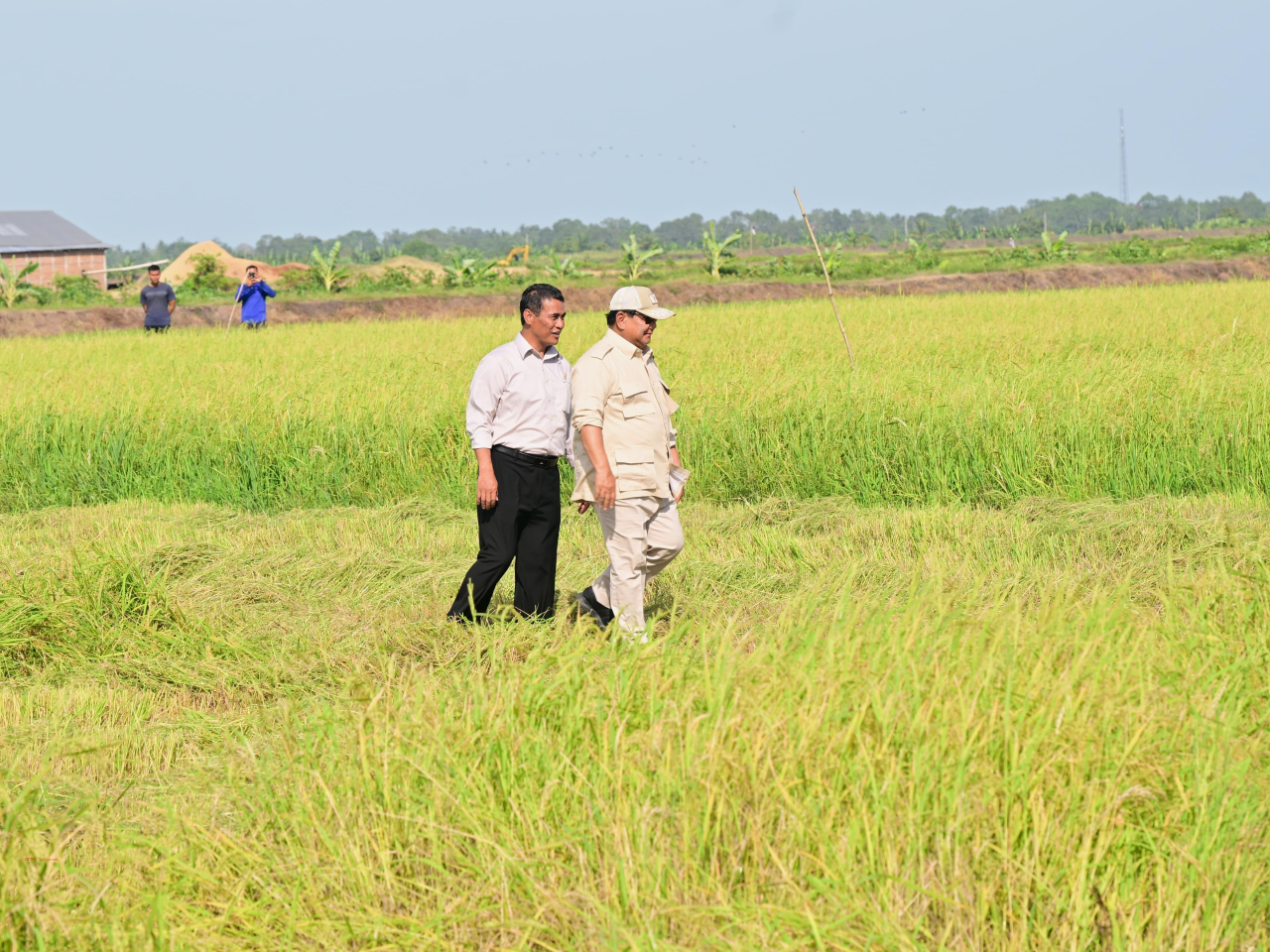 Presiden Prabowo didampingi Mentan Andi Amran Sulaiman meninjau sawah