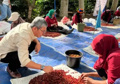 PTPN I Cetak Penjualan Rp 3,56 Triliun Hingga November 2025