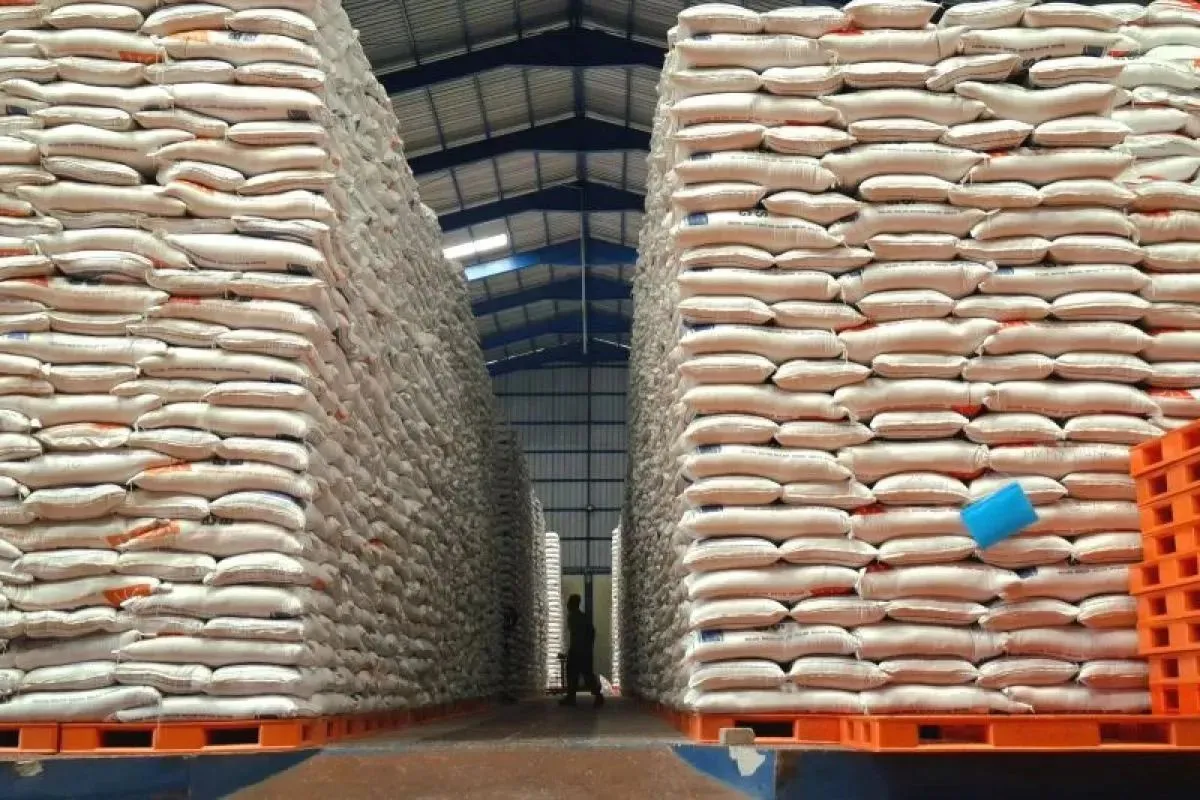 Bulog Raih Dukungan Dana Rp 39 T Untuk Pengadaan 4 Juta Ton Beras dan Jagung