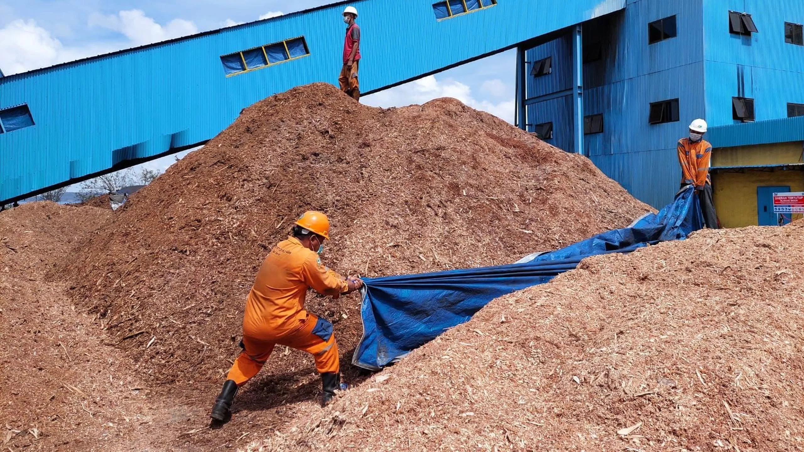 PLN EPI Perkuat Rantai Pasok Biomassa Berkelanjutan