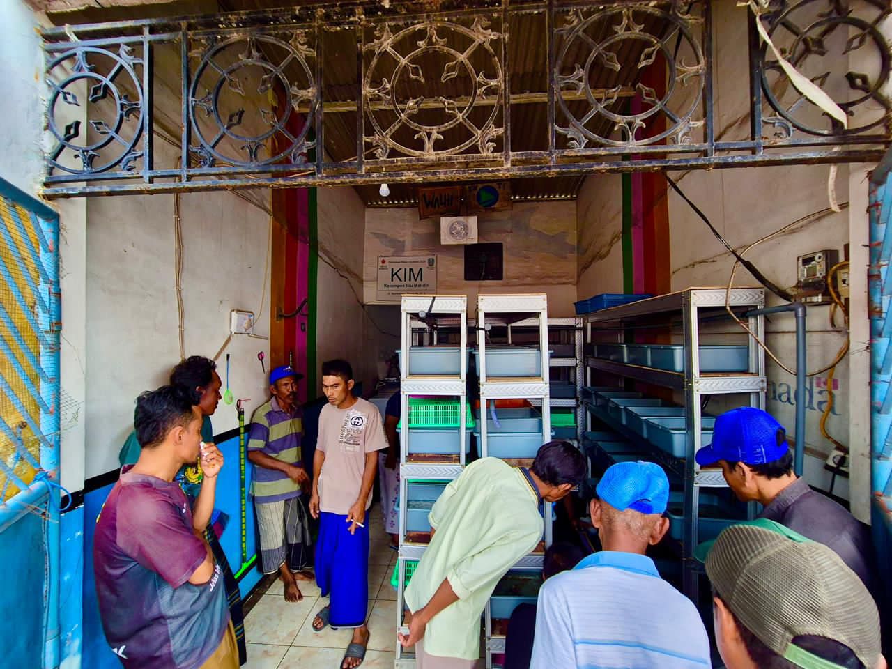 Kegiatan pelatihan budidaya kepiting soka