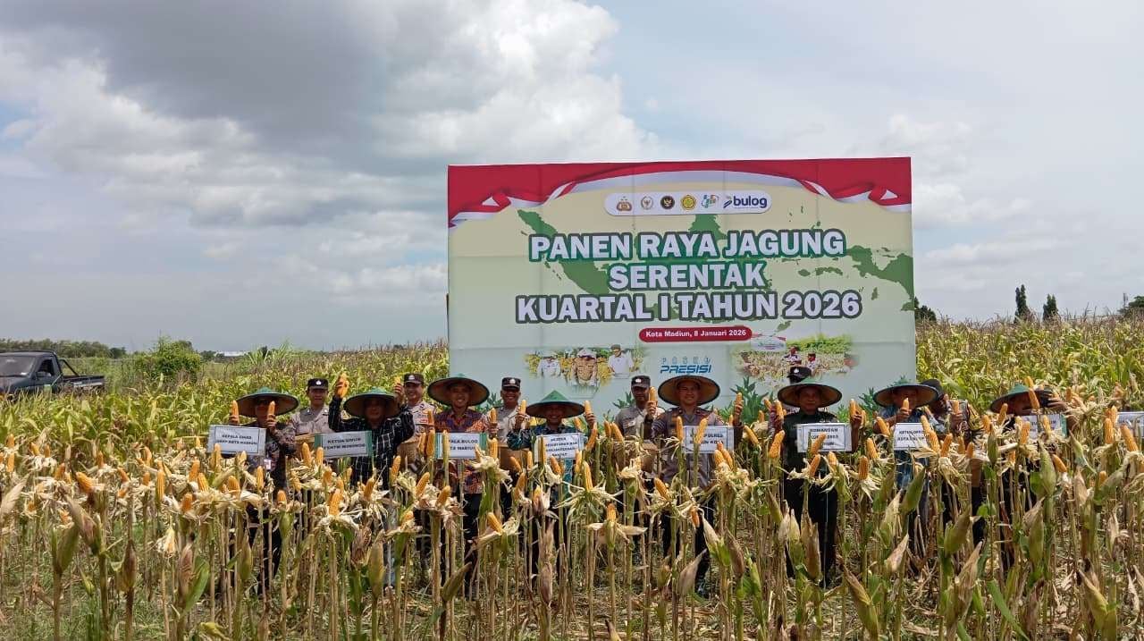 Kegiatan panen jagung serentak kuartal empat, yang berlangsung di Jalan Tirta Raya, Kelurahan Nambangan Lor, Kecamatan Manguharjo, Kota Madiun