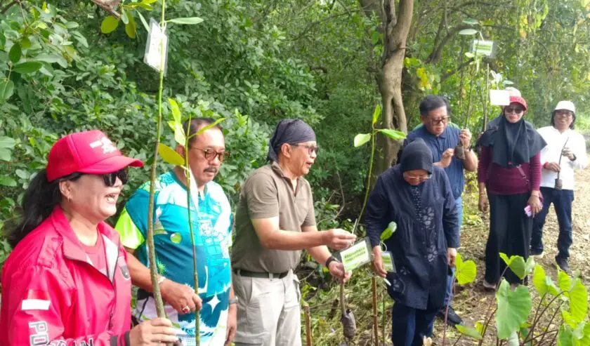 Wawali Surabaya Cak Ji Ajak Rocky Gerung, Hasto dan Bu Risma Tanam Mangrove