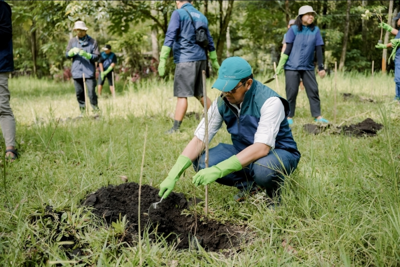 PT Terminal Petikemas Surabaya (TPS) kembali menunjukkan komitmennya terhadap pelestarian alam melalui kegiatan penanaman 120 bibit pohon pinus di kawasan Coban Talun, Kota Batu.