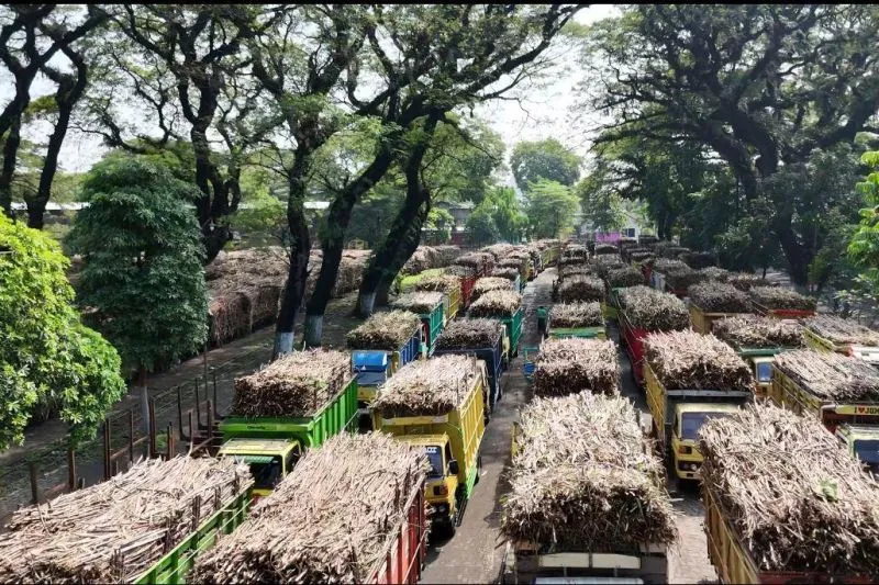 Tahun Ini PG Ngadirejo Kediri Target Giling Tebu 10,6 Juta Kuintal