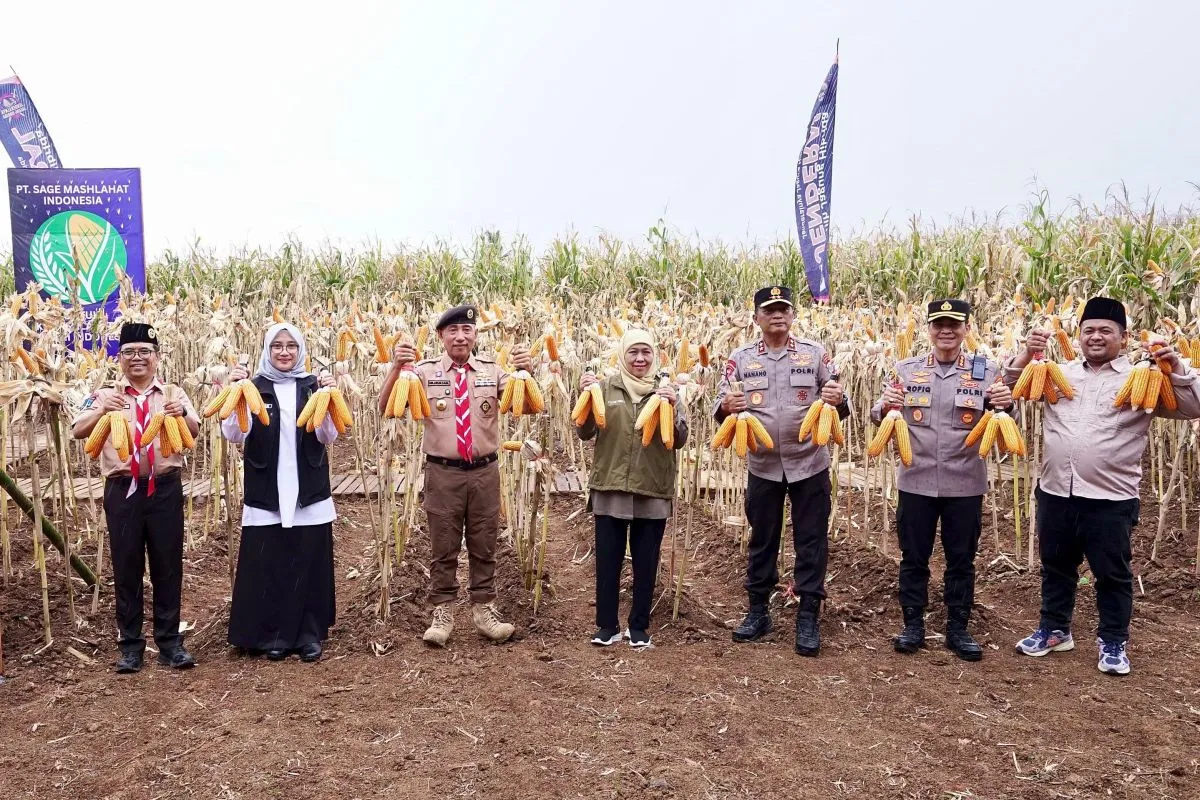 Gubernur Khofifah saat panen raya jagung kuartal IV di areal Green Farm Desa Karangsari, Kecamatan Sempu, Kabupaten Banyuwangi.