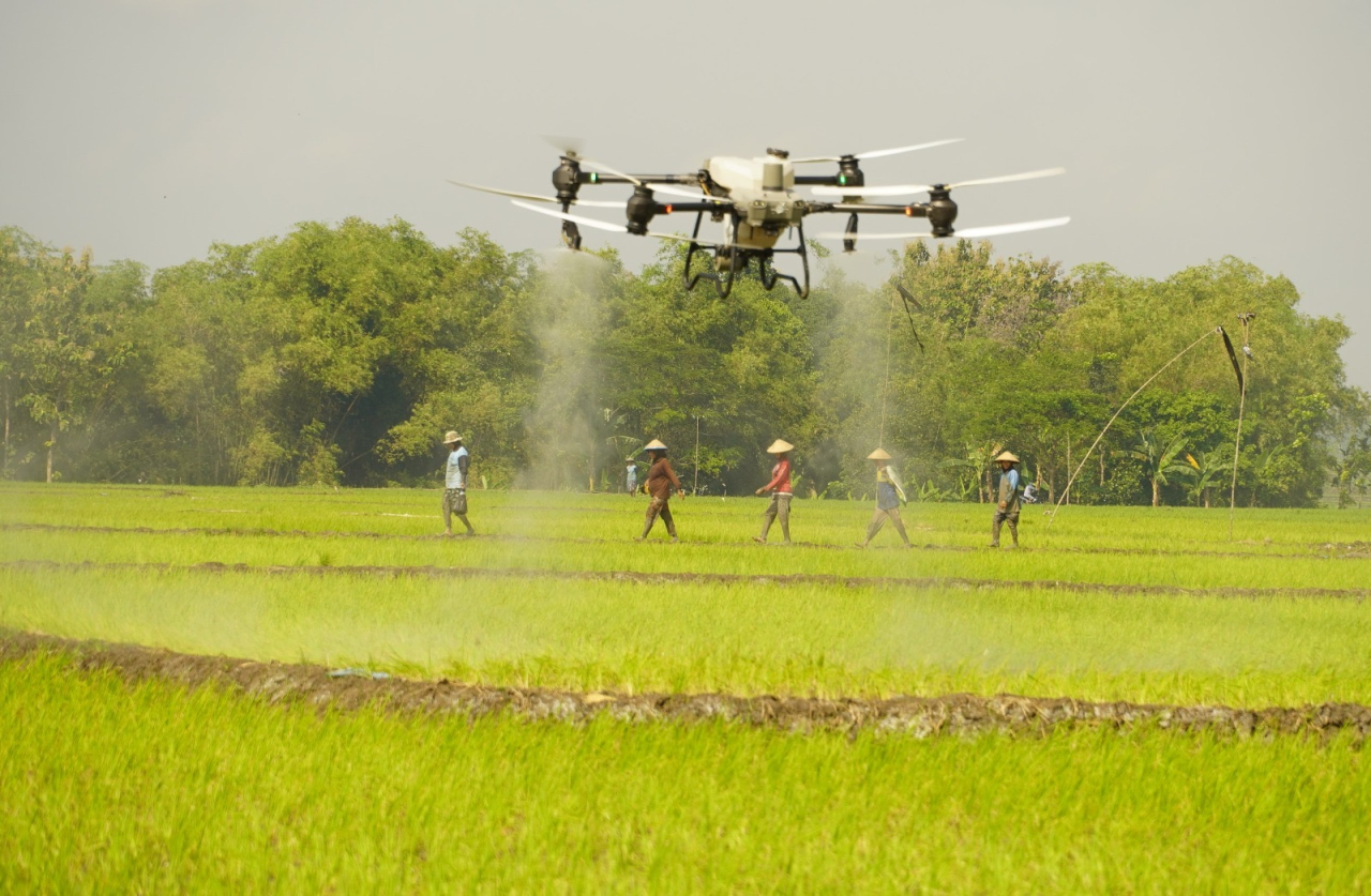 pemanfaatan teknologi modern berupa drone untuk pemupukan tanaman padi.
