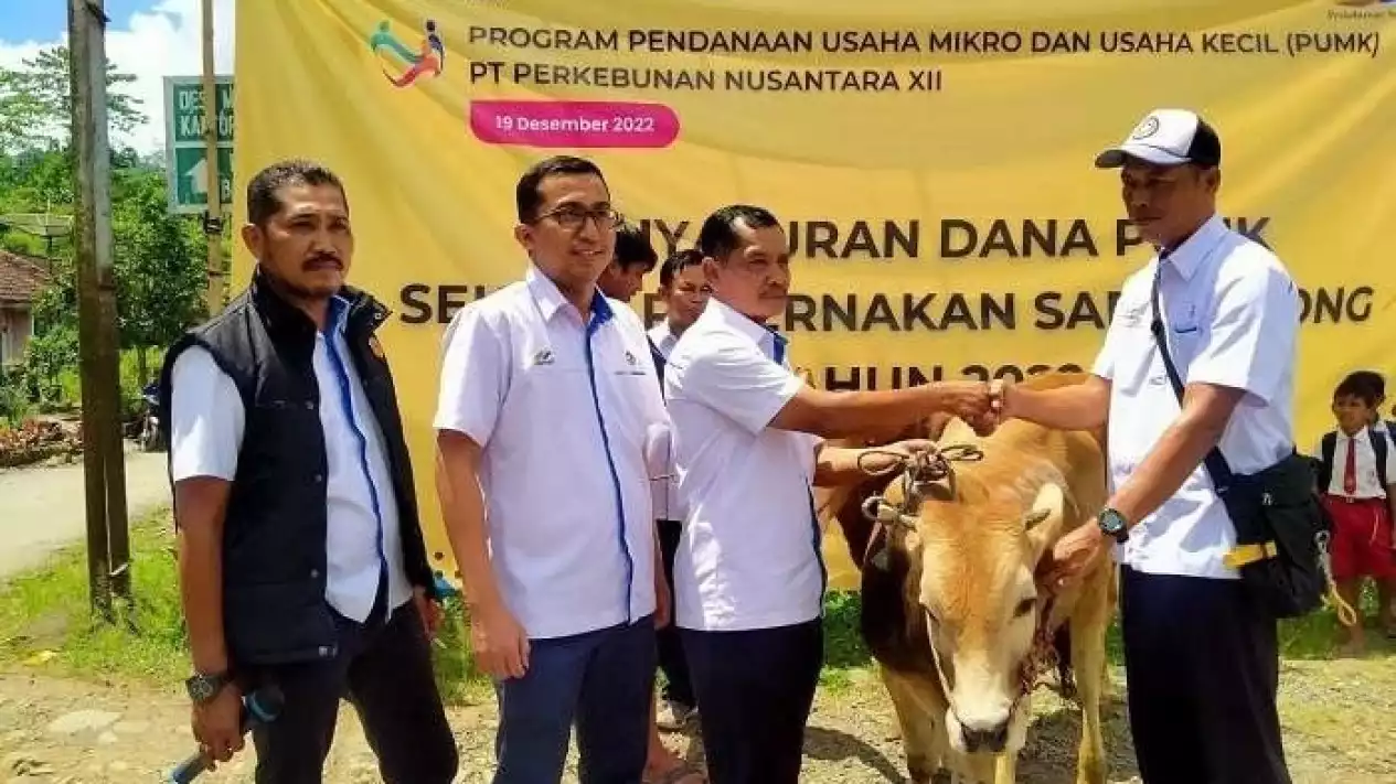Dukung UMKM dan Peternak, PTPN I Regional 5 Salurkan Dana Miliaran Rupiah