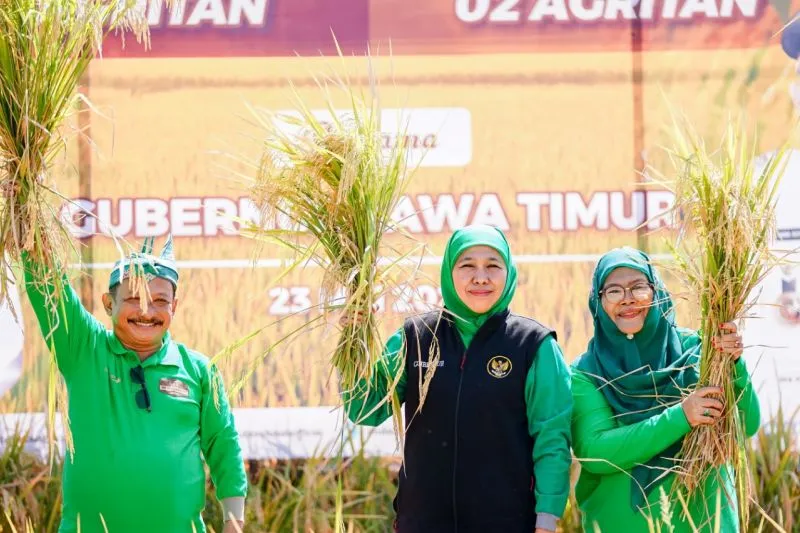 Gubernur Khofifah Minta Bupati/Wali Kota di Jatim Jaga Produksi Pertanian