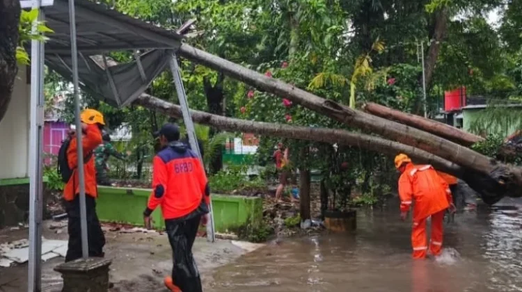 BPBD Ponorogo Catat 36 Kejadian Bencana Selama Maret 2026