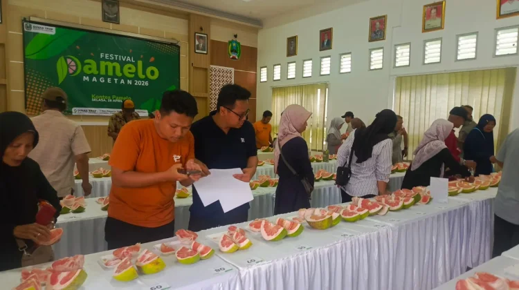 Gelaran Festival Pamelo Magetan Jadi Pendorong Semangat Petani dan Penguatan Pariwisata