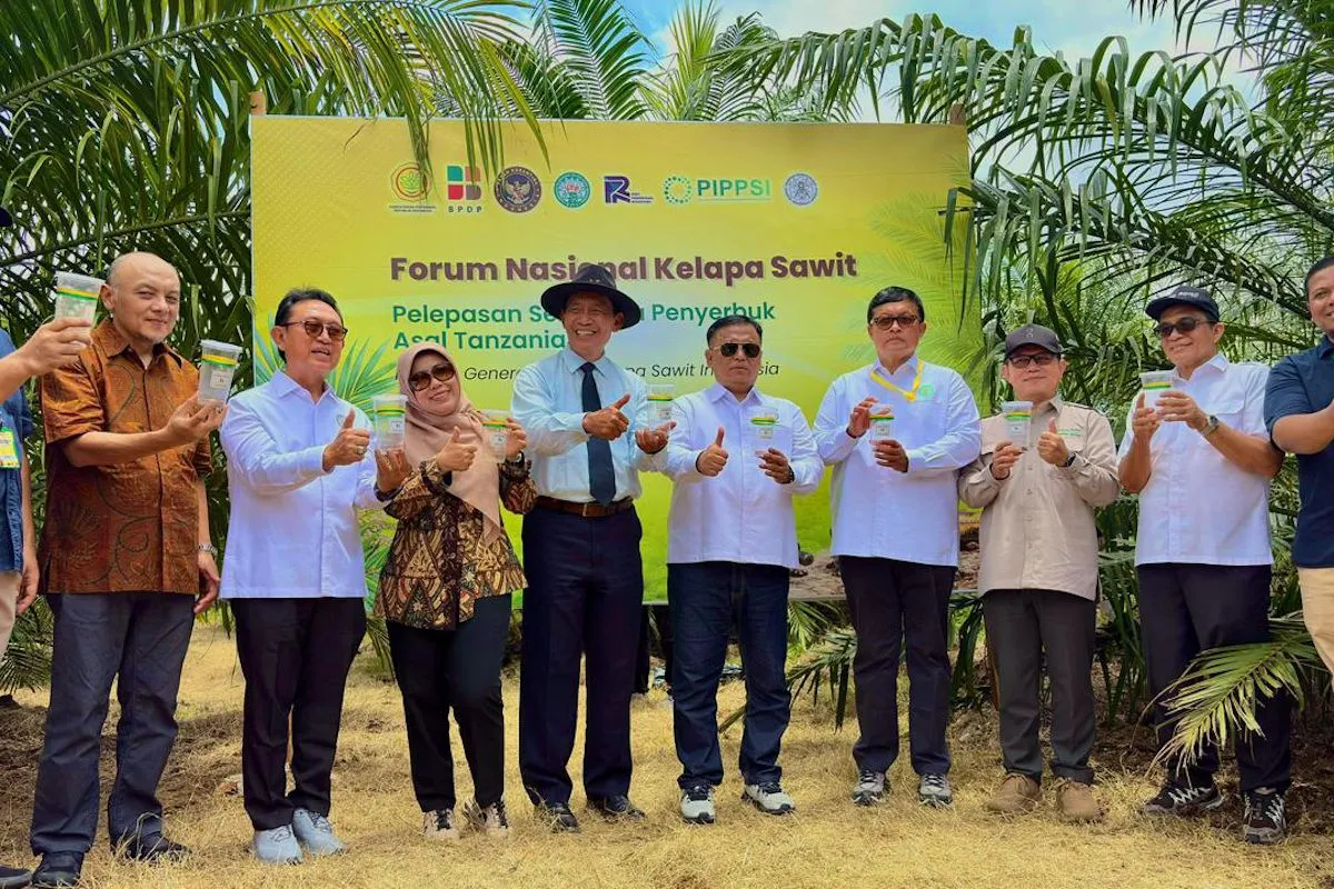 Genjot Produktivitas Sawit, PalmCo Uji Serangga Penyerbuk Afrika