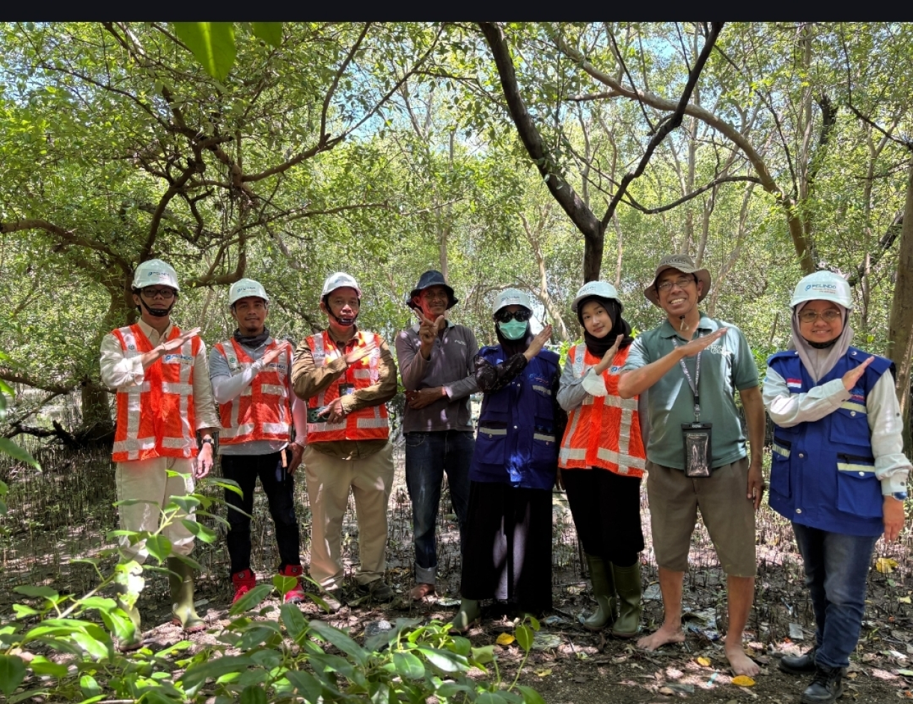 TPS menjalankan program rehabilitasi mangrove secara berkelanjutan di sekitar wilayah operasional terminal.